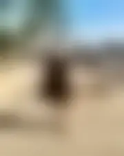 Foto de pauline88