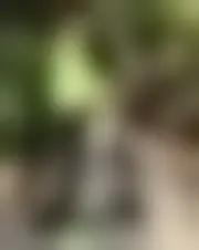 Foto di olivia0seule