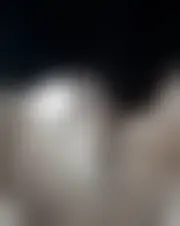 Foto de andreacifel5467