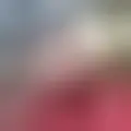 Discutir com andramelial87754