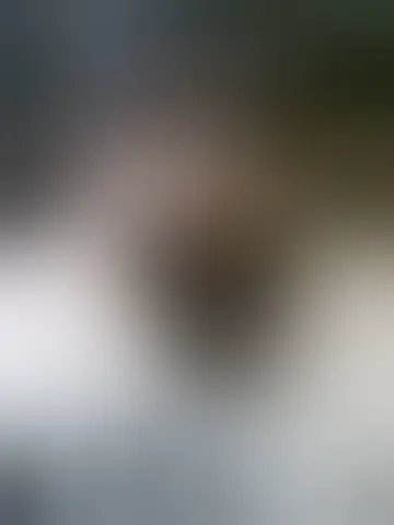 Contact andrarel46525 and singles women in stettler Chat with andrarel46525 and singles men in stettler