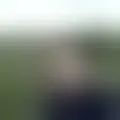 Bespreken met anlphegias29566