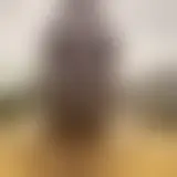 Chatta med black29122025