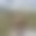 Chat with  cahetaiah76717