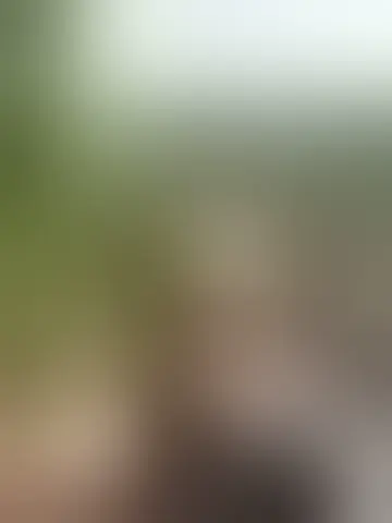 Contact cahiel41598 and singles women in jobrin Chat with cahiel41598 and singles men in jobrin