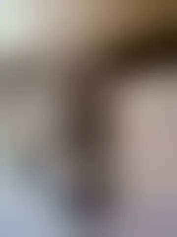 Contact castorloup and singles women in kanona Chat with castorloup and singles men in kanona