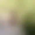 Chat with  claudio6337