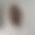 Discutir com gio05