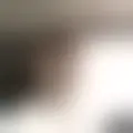 Chat with  gregspayc