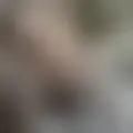 Discutir com haluch