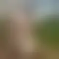 Discutir com jehuaiah6024
