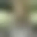 Discutir com leuhetael56013