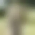 Discutir com malemaiah58385
