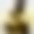 Chat with  maxwell123