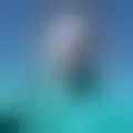 Chat with  mike8089