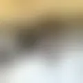 Conversar com  motoqueiro2588