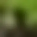 Chat with  mymie
