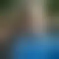 Discutir com paheuaiah73402