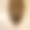 Chat with  peckmassa