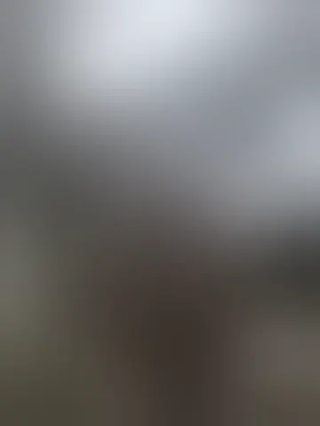 Contact pohasiel91507 and singles women in tulsa Chat with pohasiel91507 and singles men in tulsa