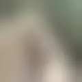Chat with  polegar