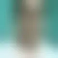 Discutir com rabamaiah69456