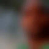 Bate-papo com robusto