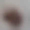 Chat with  samou47