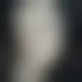 Chat with  shellz4u