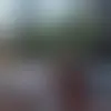 Contact stephj72