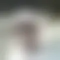 Chat with  toretto70