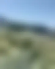 Foto de reynacc123