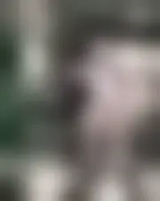 Photo of evelynestephania