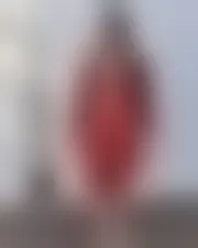 Foto de alea23343402