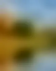 Photo of pohasiel25974