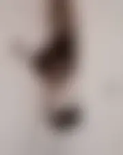 Photo of sylvia00