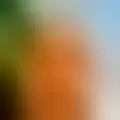 Chat with  abadres70374