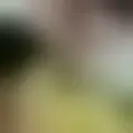 Chat with  alexis61
