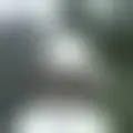 Chat with  billy760813