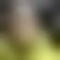 Chat with  drtyup83