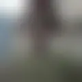 Chat with  fer645