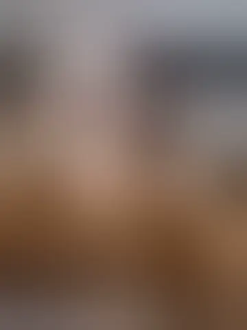 Chat with fubar1970 and singles men in round rock