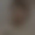 Chat with  inteligencia