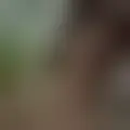 Chat with  joaop95