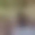 Discutir com josepadillacatala