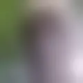 Chat with  klaus958