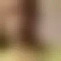 Discutir com lilym37589