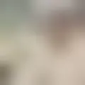 Discutir com mehdi126