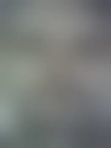 Chat with paidrius53589 and singles men in youville