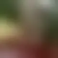 Chat with  sammydondi